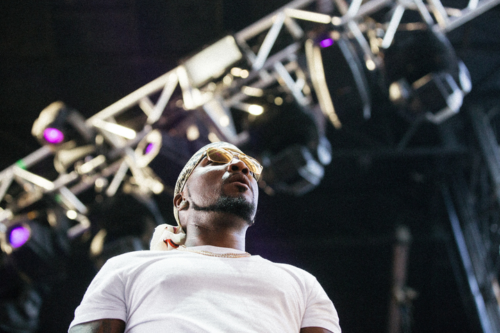 Roots Picnic