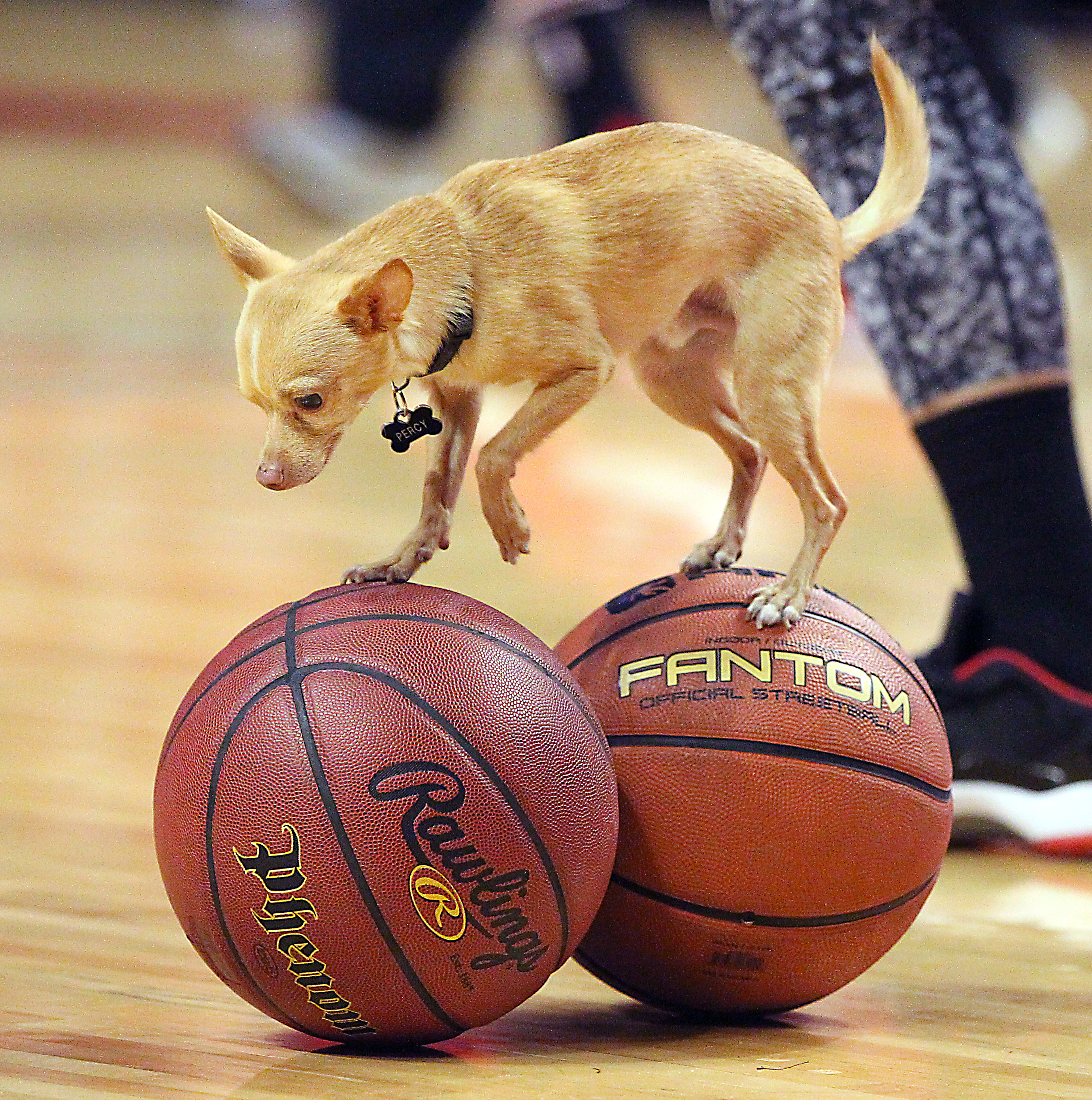NBA Playoffs Round 1: Boston Celtics Vs Chicago Bulls At United Center
