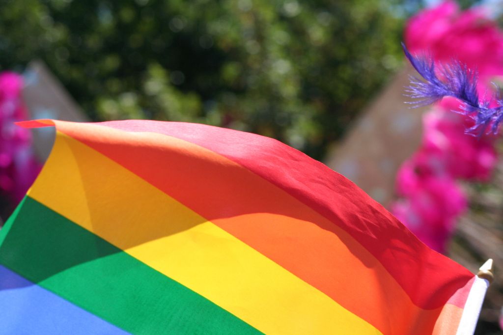 Close-Up Of Rainbow Flag