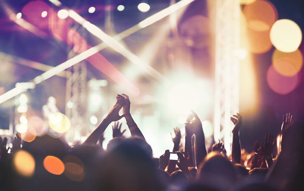 Cheering crowd at a concert.