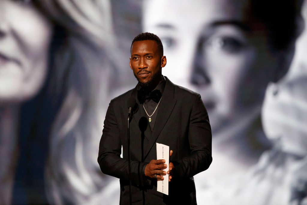 ABC's Coverage Of The 92nd Annual Academy Awards - Show