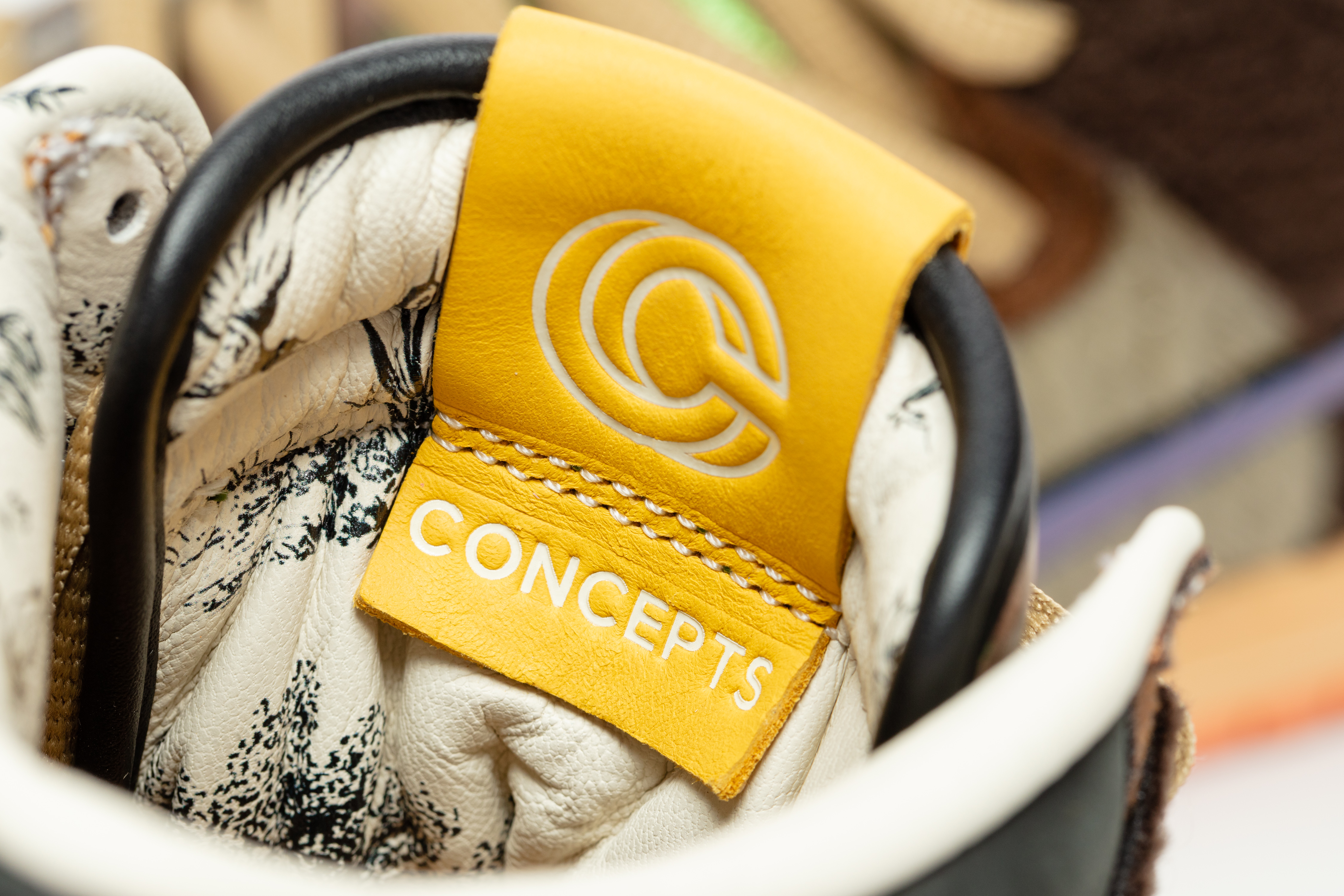 Concepts x Nike TurDUNKen