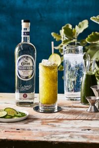Jose Cuervo National Tequila Day Agave Straws