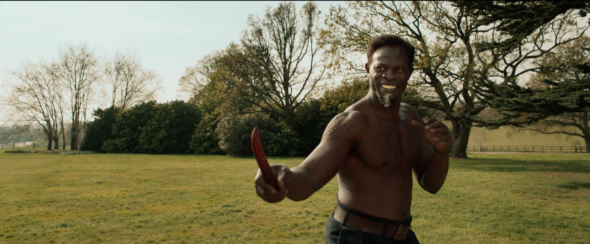 Djimon Hounsou Reveals Why He Is In So Many Comic Book Movies