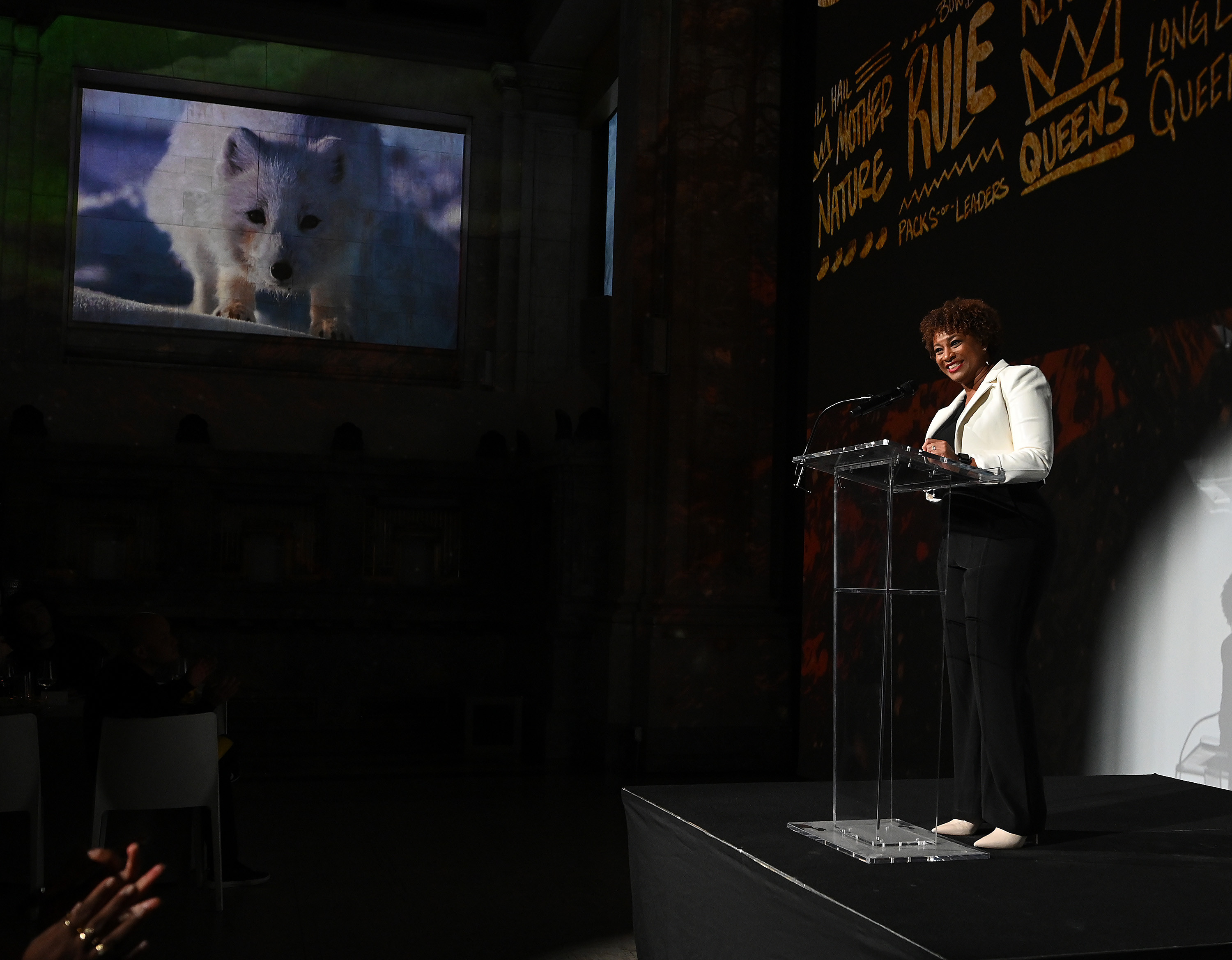 National Geographic Content Showcase