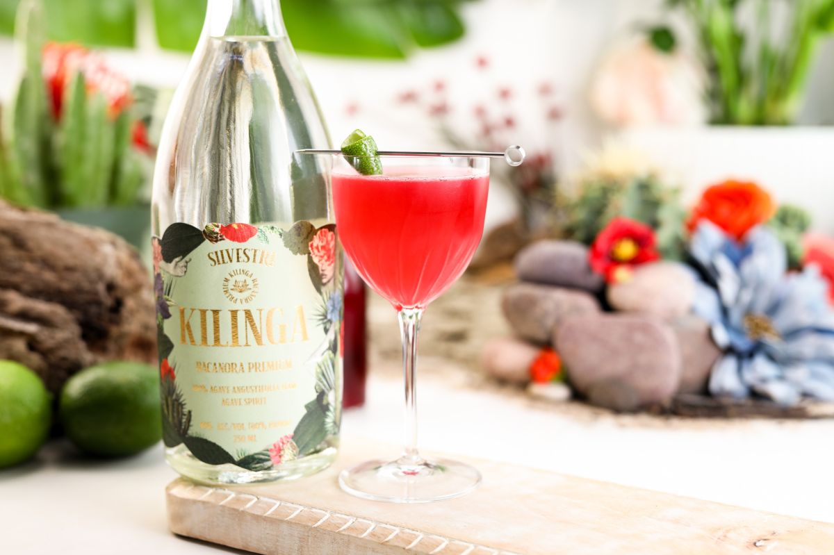 Hibisco Disco Margarita