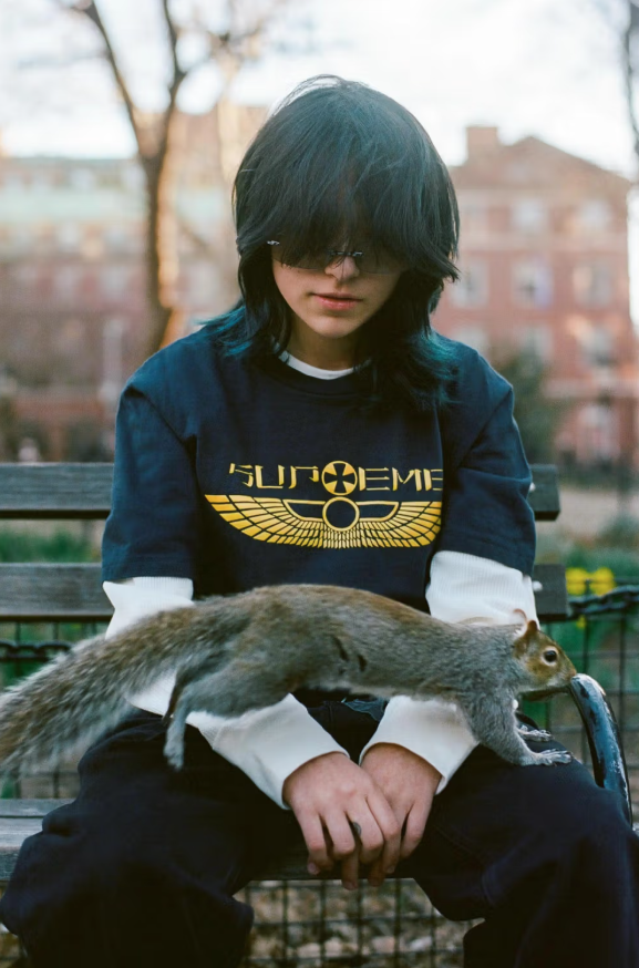 Supreme Summer 2025 Tees