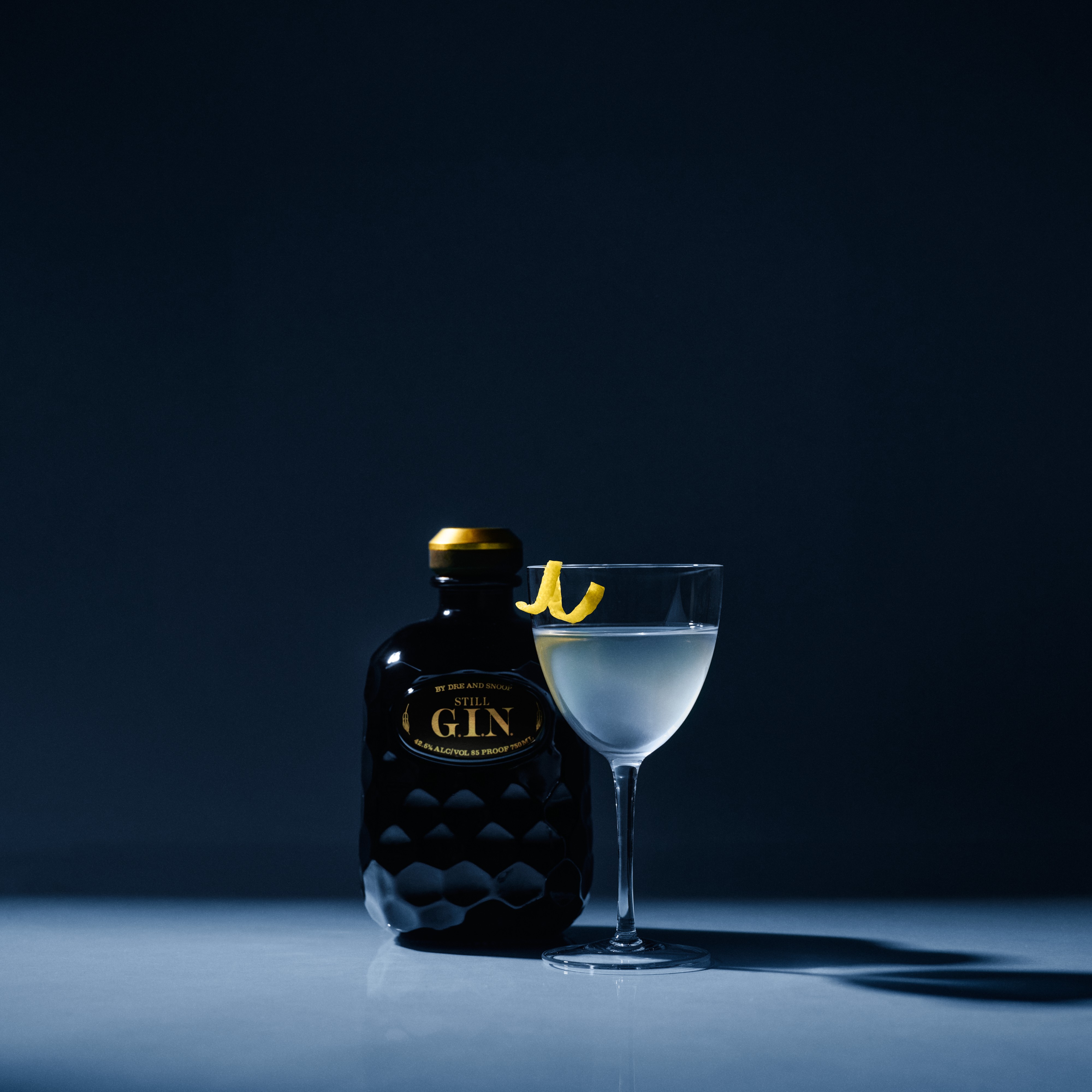 50/50 Martini (S.T.I.L.L. Gin)