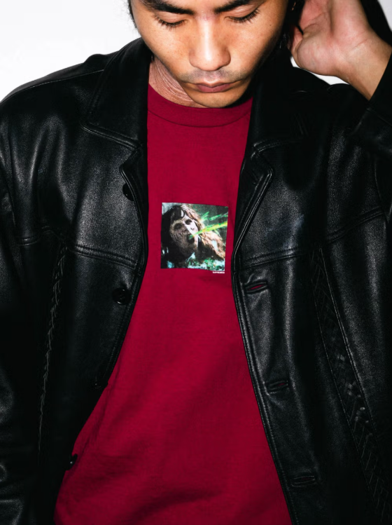 Supreme Fall Tee Collection 2025